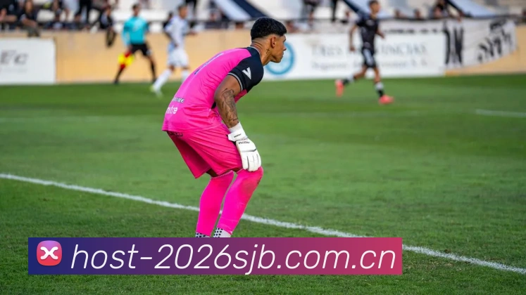 2026世界杯数据服务生态