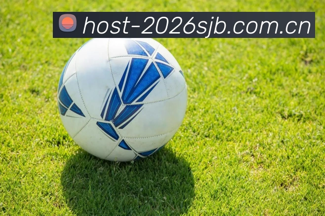FIFA官方授权证书